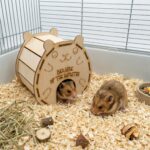 domek dla chomika 2 - obrazek 3