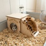 domek dla chomika 3 - obrazek 4