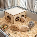 domek dla chomika 5 - obrazek 3