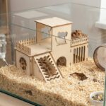 domek dla chomika 7 - obrazek 4